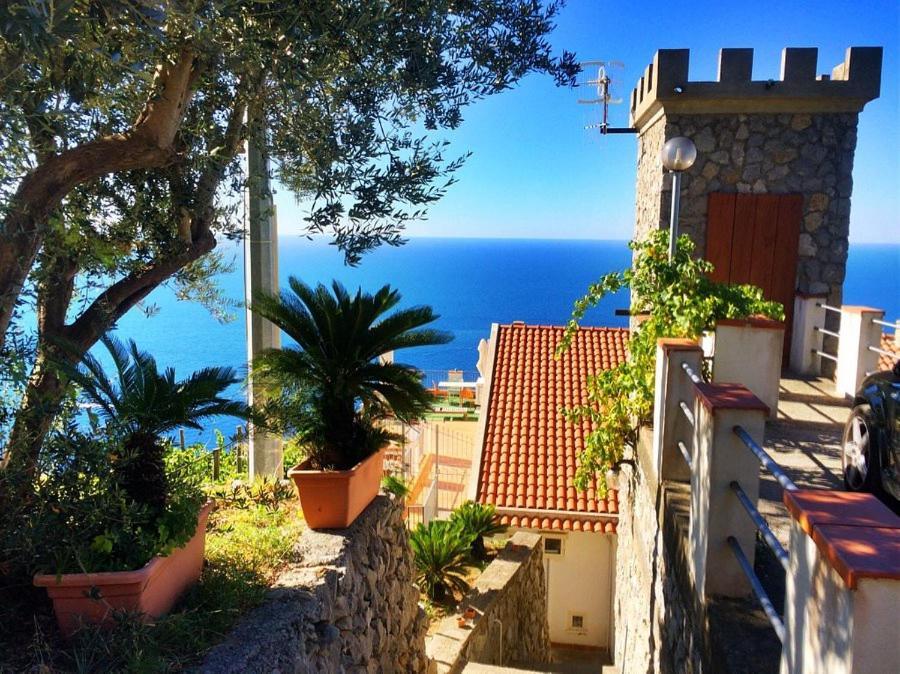Farm stay Tenuta La Picola *