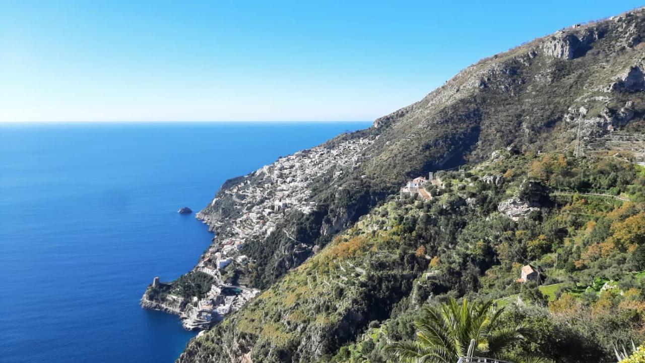Tenuta La Picola *