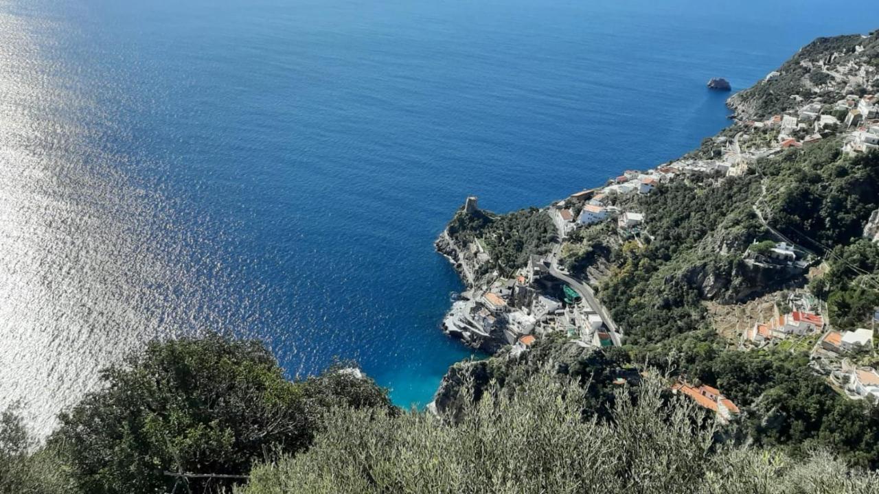 Tenuta La Picola