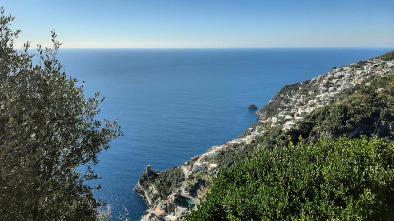 Tenuta La Picola *