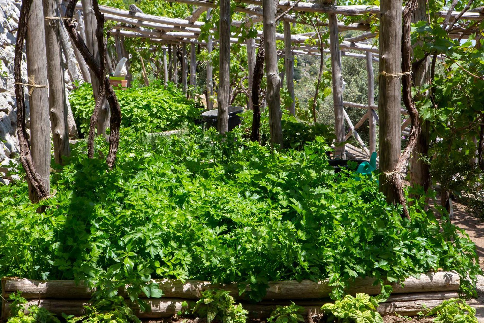Farm stay Tenuta La Picola *
