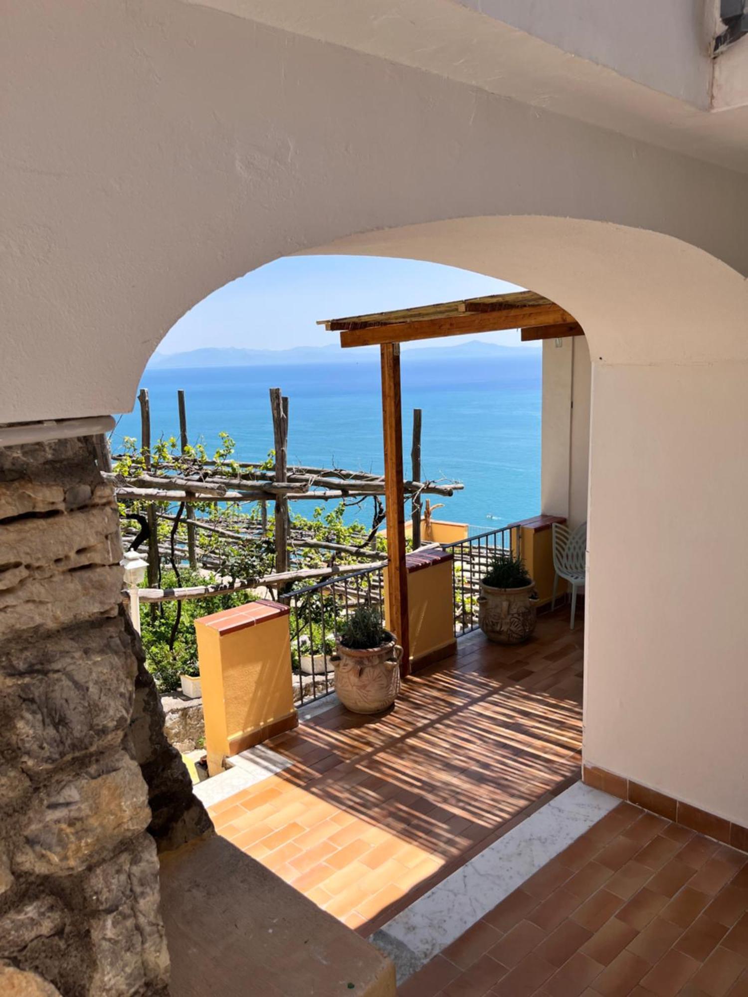 Farm stay Tenuta La Picola