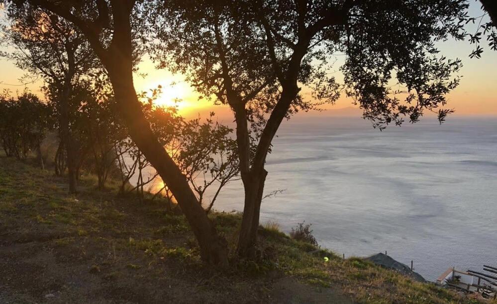 Agroturismo Tenuta La Picola