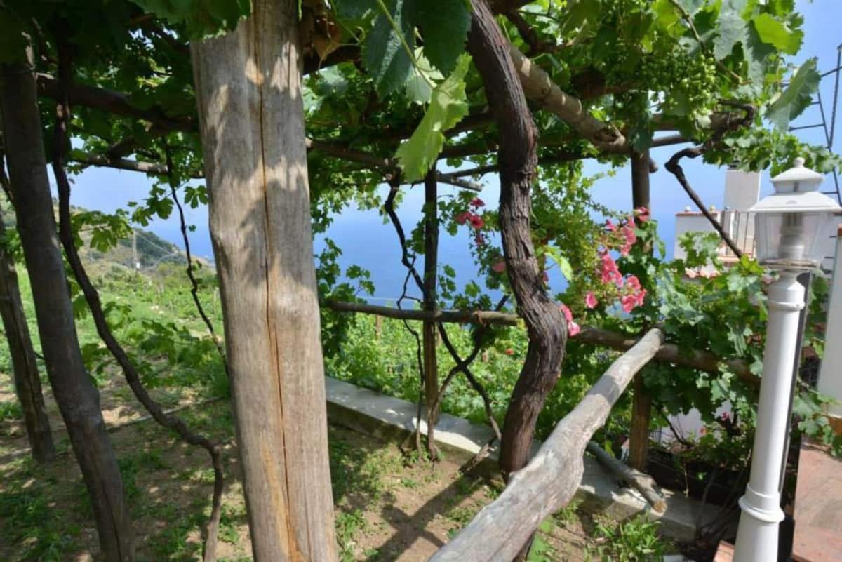 Tenuta La Picola Furore
