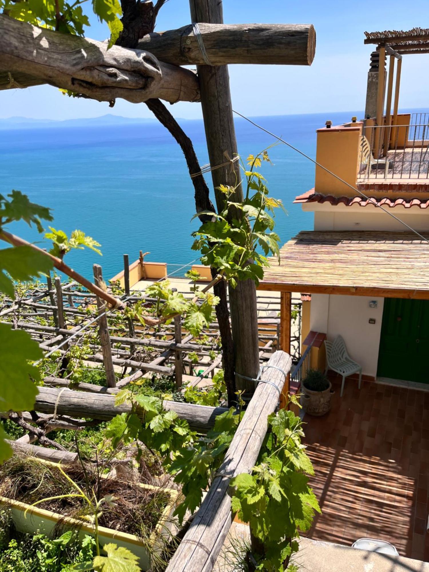 Tenuta La Picola